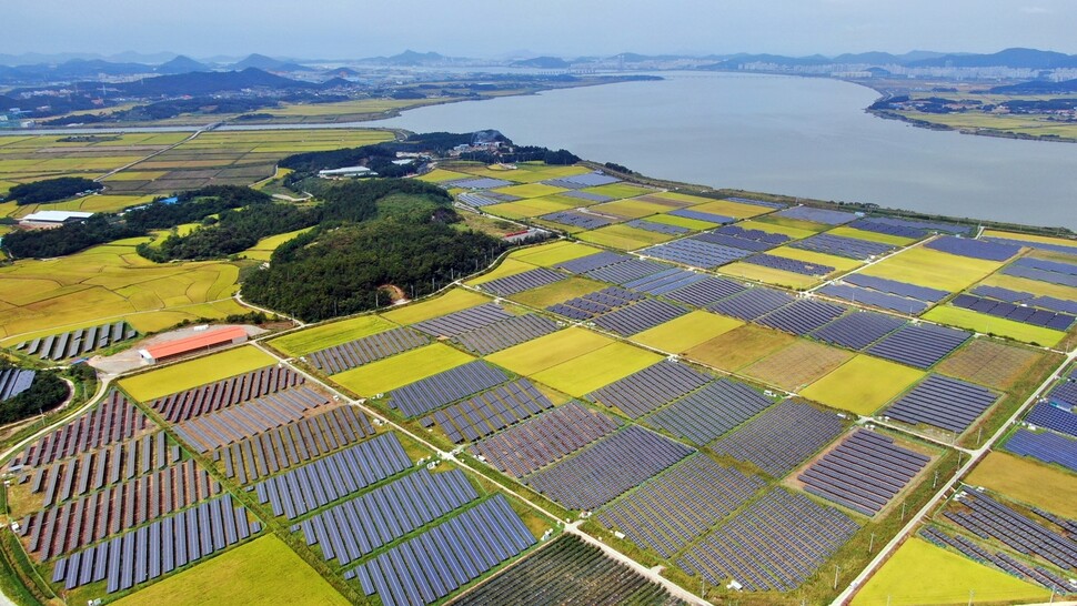2021년 가을 전남 영암 영산강 하류의 한 농촌 마을 풍경. 논의 절반 이상이 태양광 패널로 점령당했다. 최병성 초록별생명평화연구소장 제공