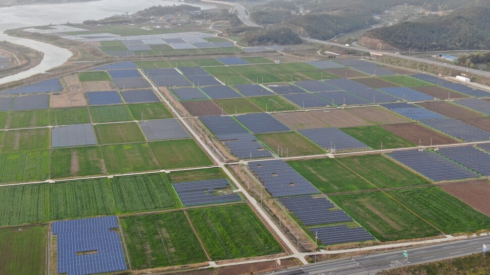 2021년 봄 전남 영암 영산강 하류의 한 농촌 마을 풍경. 논의 절반 이상이 태양광 패널로 점령당했다. 최병성 초록별생명평화연구소장 제공