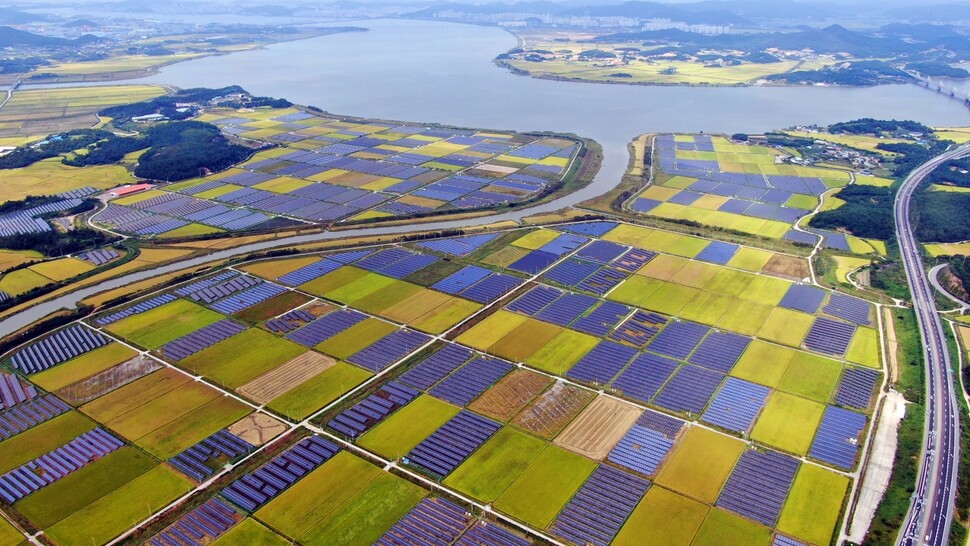 2021년 가을 전남 영암 영산강 하류의 한 농촌 마을 풍경. 논의 절반 이상이 태양광 패널로 점령당했다. 최병성 초록별생명평화연구소장 제공