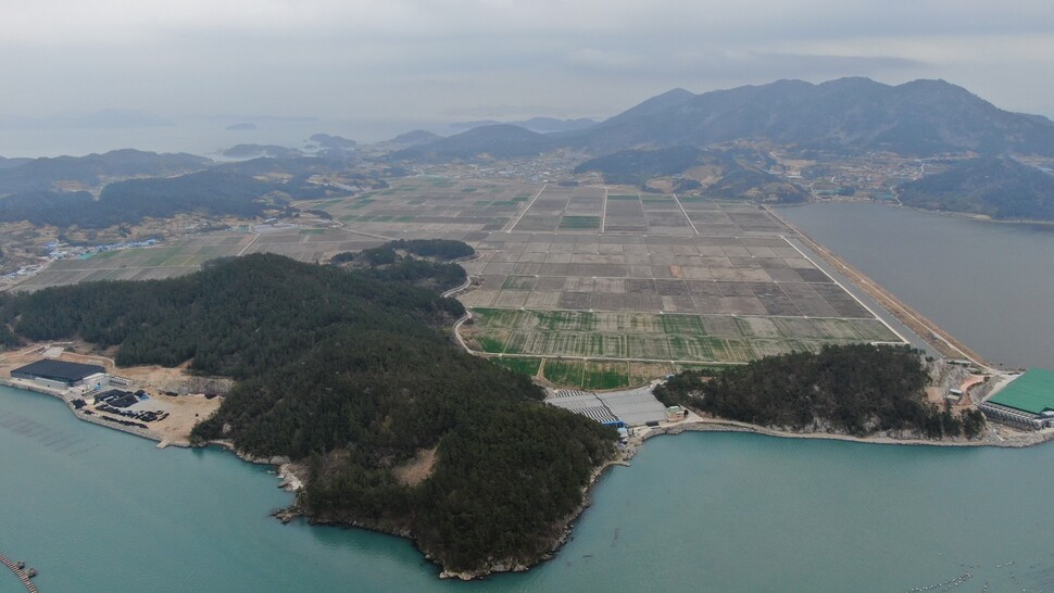 2021년 12월 전남 완도 관산포 간척지 모습. 이곳에 대규모(149MW급 규모) 태양광발전소가 들어설 예정이다. 최병성 초록별생명평화연구소장 제공