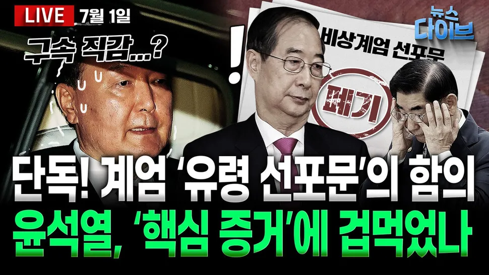 [뉴스 다이브] ‘특검 수사 대상’ 심우정, 사의 표명…
