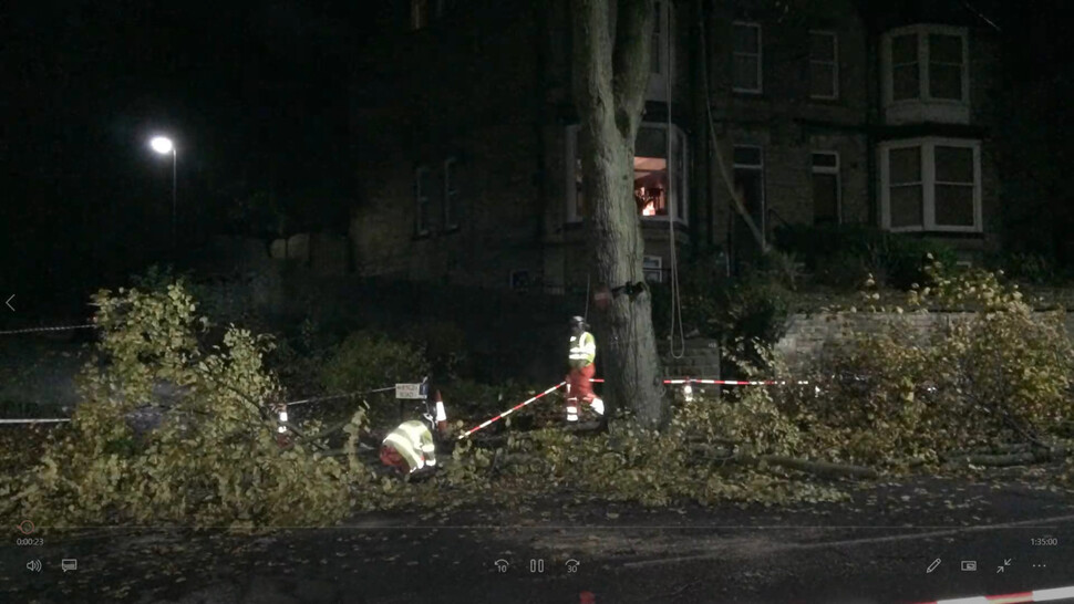‘더 펠링’의 한 장면. 새벽 4시30분 러슬링스 도로에서 ‘기습 벌목’이 이뤄지고 있다.
