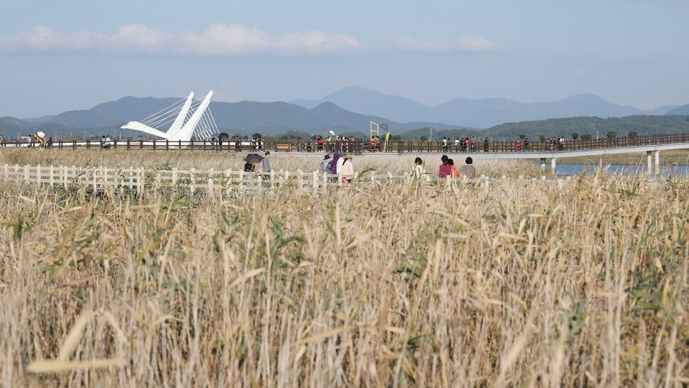 2025년 제10회 강진만 춤추는 갈대축제 모습. 강진군 제공