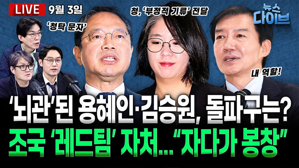 [뉴스 다이브] 조국 “레드팀 내 역할”…민주당은 부글부글?