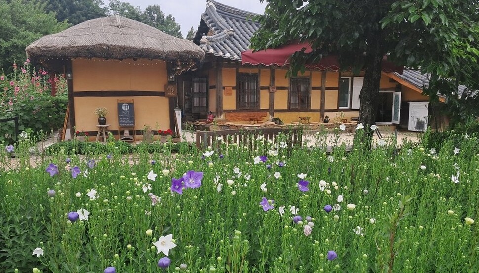 한옥 마당에 활짝 핀 꽃들. 김소민 제공