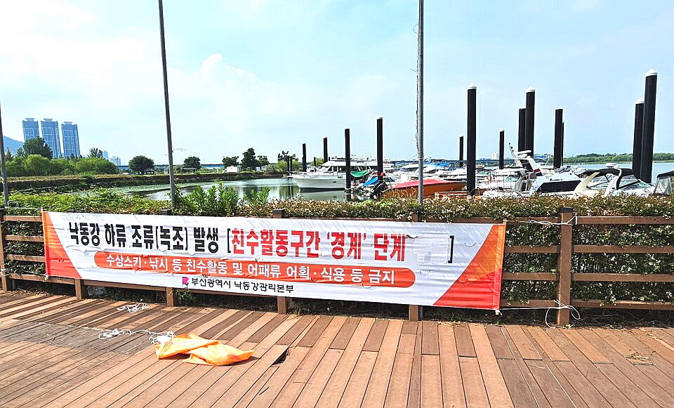 부산시는 조류경보제 ‘경계’ 단계가 발령된 부산 북구 화명동 낙동강 구간에 사람들의 출입을 통제하고 있다. 부산시 제공