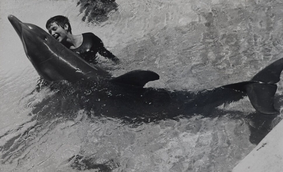 1960년대 초, 존 릴리 박사의 주도로 사람과 돌고래가 함께 살 수 있도록 개조한 공간에서 돌고래 세 마리가 언어를 배웠다. 사진 속 인물은 마거릿 로바트. 다큐멘터리 <돌고래와 말을 한 여자> 화면 갈무리