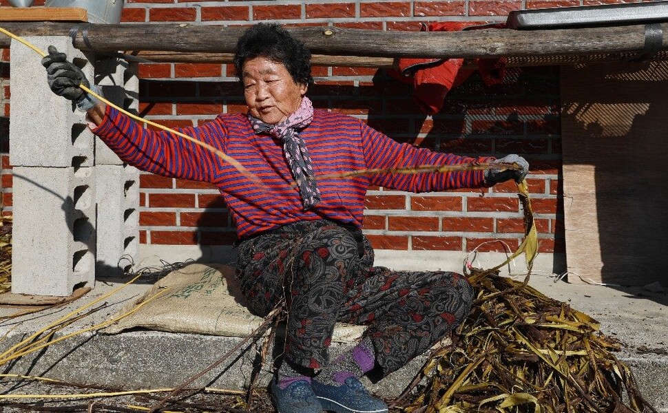 마을 주민이 닥나무 껍질을 벗기고 있다.