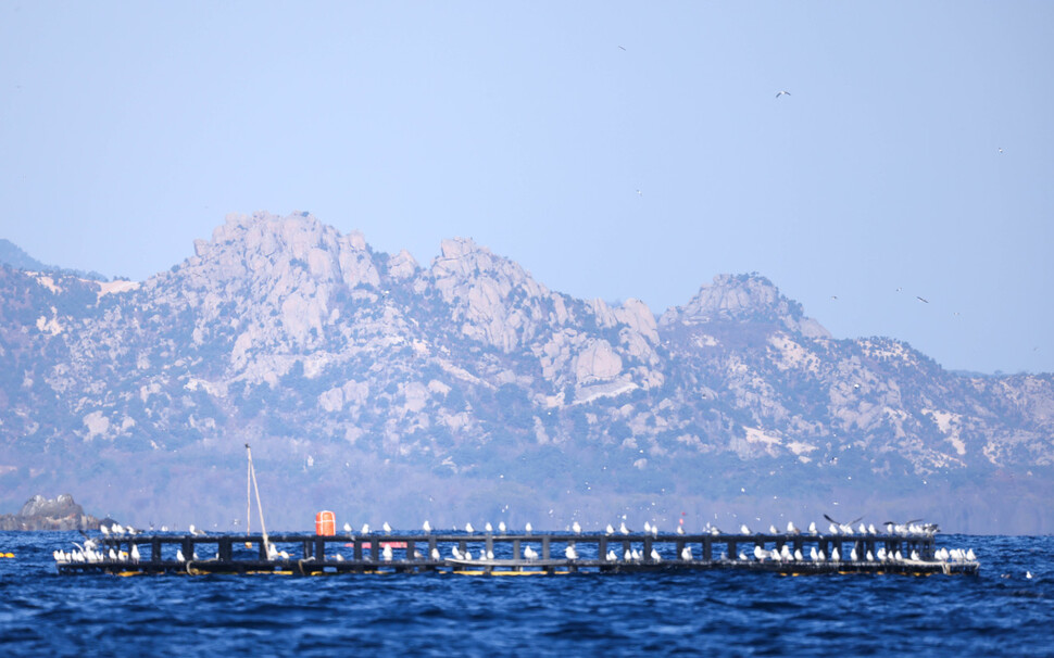 대진항 앞바다 가두리 양식장 너머로 금강산 봉우리가 선명하게 보인다.