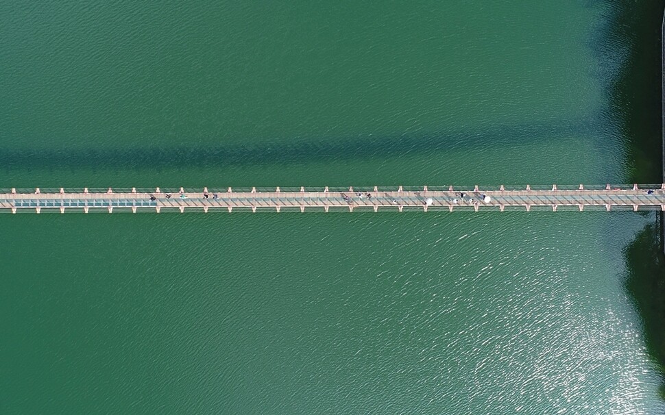 국내에서 가장 긴 경기도 파주 마장호수 흔들다리(길이 220m, 폭 1.5m)를 찾은 시민들이 마치 푸른 호수의 물 위를 걷듯 다리를 건너고 있다.