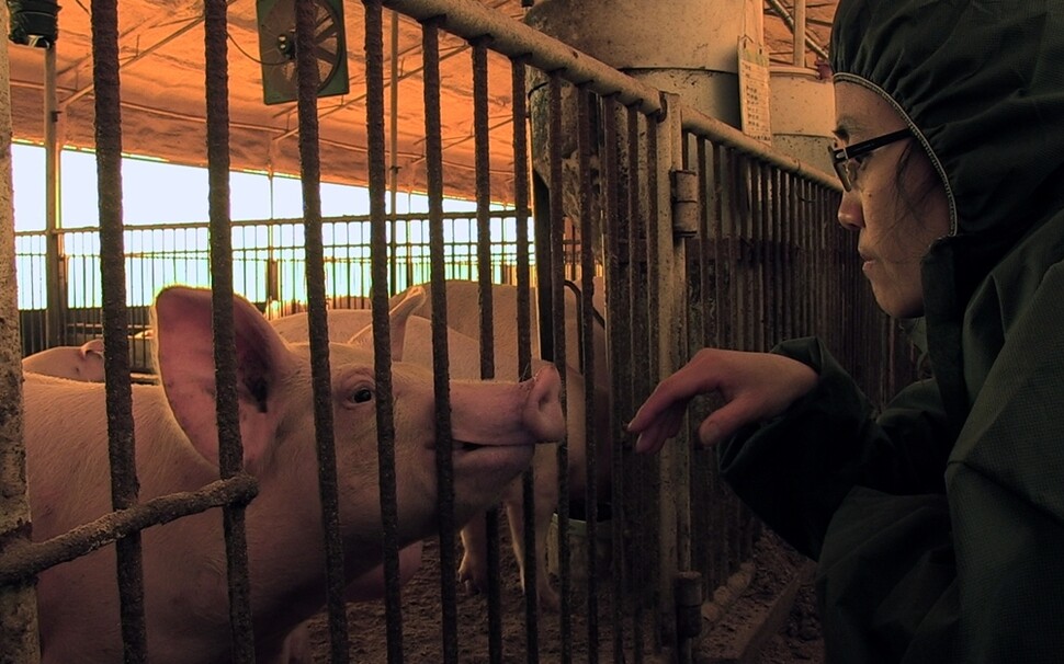 ‘돼지공장’에 있는 새끼 돼지를 바라보는 황윤 감독. 한겨레출판 제공