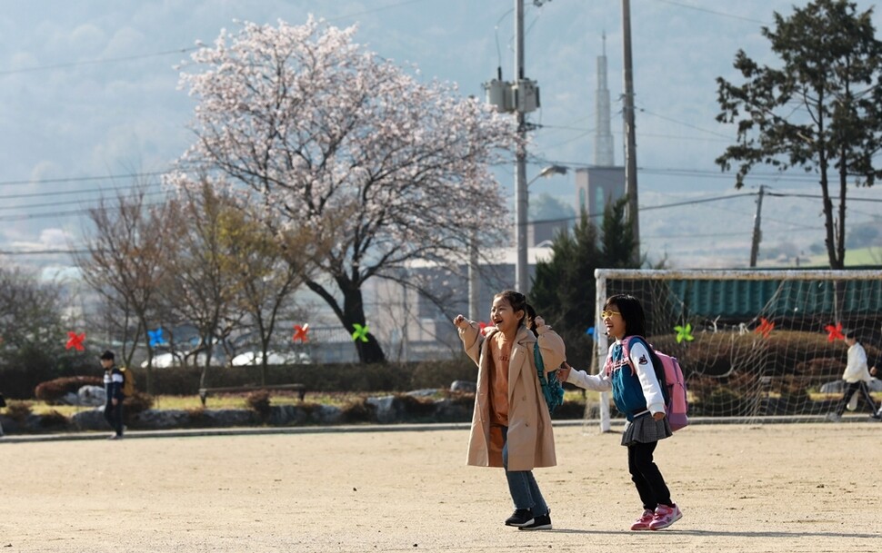 4월12일 아침 전남 영광군 묘량면 묘량중앙초등학교 어린이들이 벚꽃이 활짝 핀 운동장을 지나가고 있다.