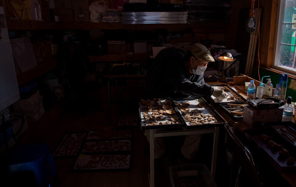 박선주 ‘한국전쟁기 민간인학살 유해발굴 공동조사단’ 단장이 골령골에서 발굴된 유골을 조사하고 있다.