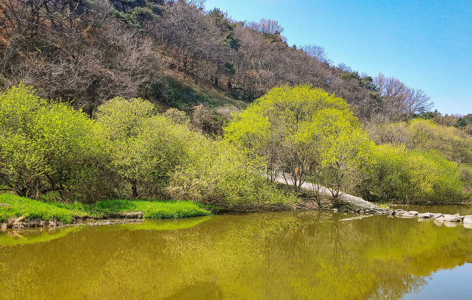 Changnyeong’s Upo Wetland has trails great for walking. (courtesy of Rho Dong-hyo)
