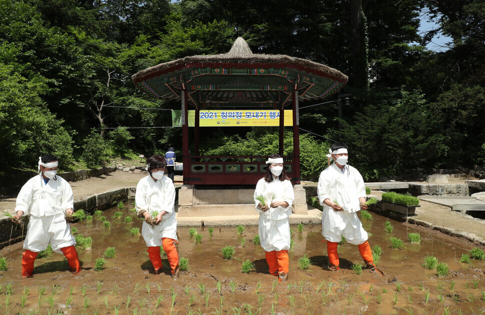 Workers dressed as Joseon farmers transplant rice seedlings into a rice paddy in front of the Cheonguijeong Pavilion at Changdeok Palace in Seoul on Monday. (Kim Hye-yun/The Hankyoreh)