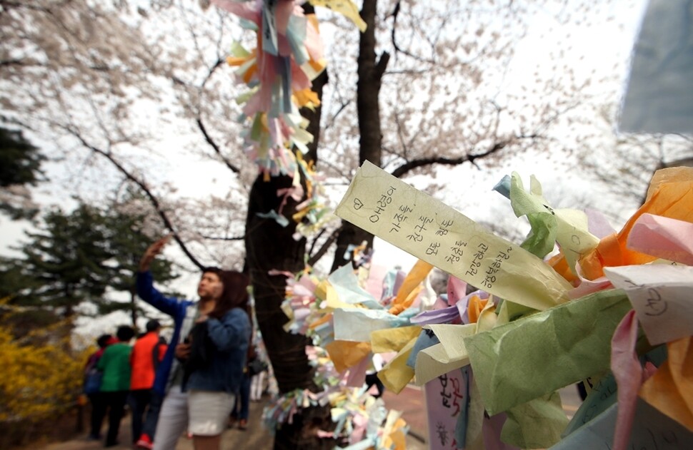 여의도 윤중로 벚꽃축제를 찾은 시민들이 소원을 적은 메모를 나무에 걸어놓았다.