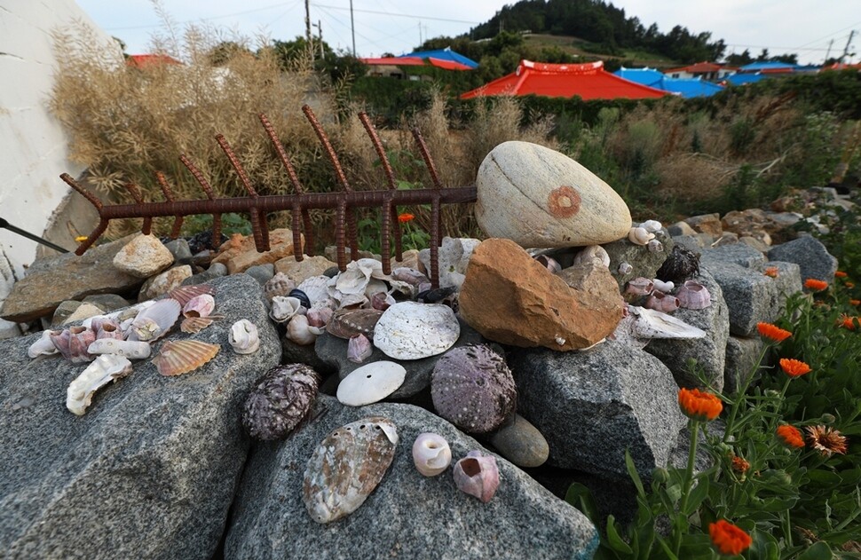 해변에서 주운 돌과 조개껍데기를 이용한 물고기 작품이 밭둑에 설치돼 있다.