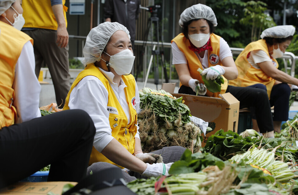 Red Cross volunteers cut young summer radishes on Thursday at the Korean Red Cross’ Nowon Ward in Seoul as they take part in a kimchi-making charity event. (Lee Jeong-a/The Hankyoreh)