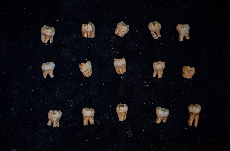 18살 이하 청소년의 유골도 여럿 발굴됐다. 거의 마모되지 않은 치아머리와 다 자라지 못한 치아 뿌리로 청소년의 것임을 알 수 있다.
