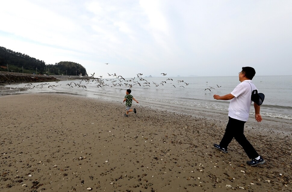 학교 수업이 끝나고 해가 질 무렵, 류찬희 학생과 염대길 선생님이 녹도 해변을 산책하고 있다.