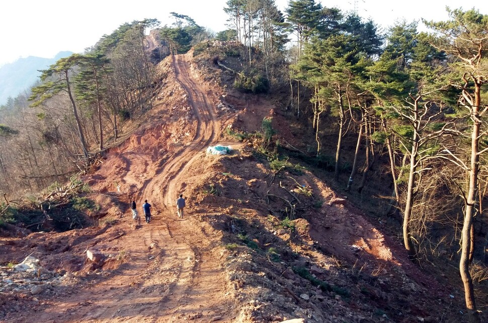 2017년 경북 영양의 백두대간 능선 부분이 풍력발전 단지 개발 공사로 훼손돼 있다. 박용훈 사진작가 제공