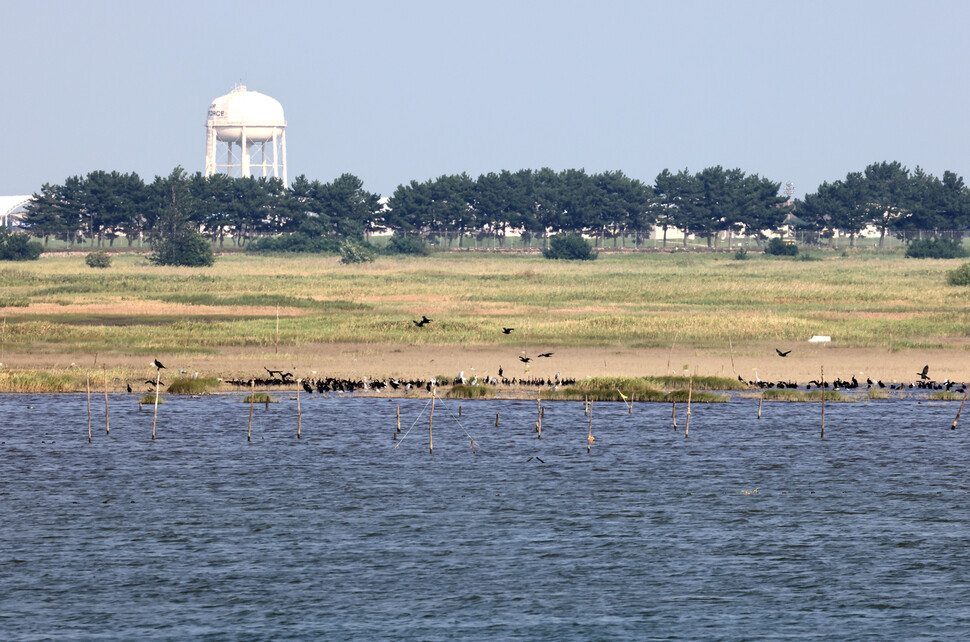 전북 군산의 새만금에 있는 수라 갯벌. 한겨레 류우종 기자