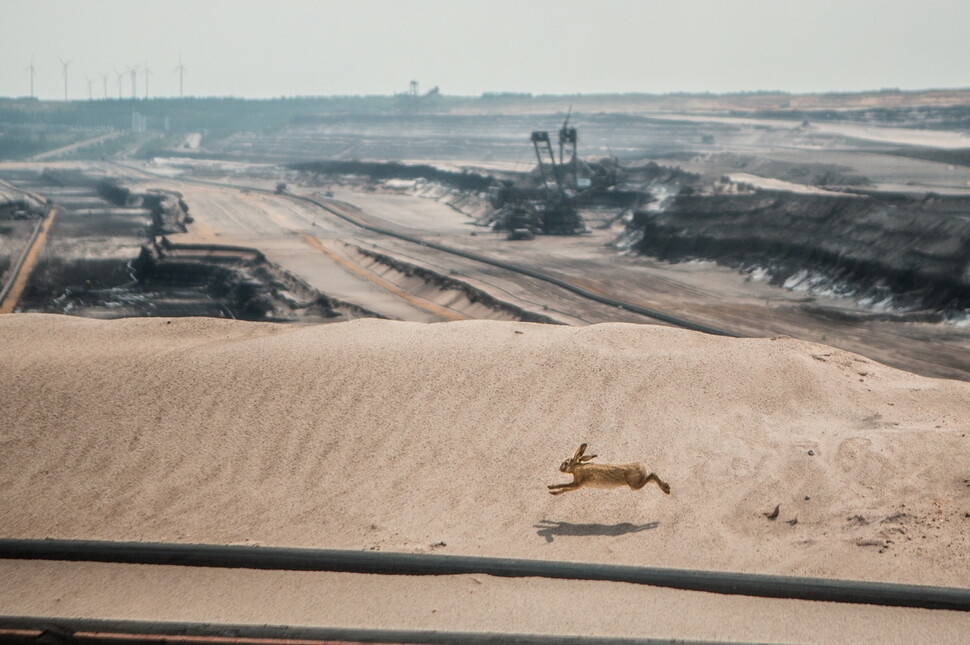 Climate crisis, who is being kicked out…  David Thysinski Photography Exhibition