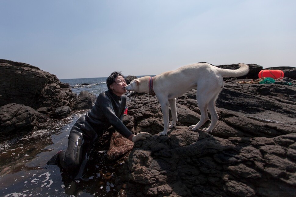 이일순(60) 해녀가 물질을 마치고 나오자 진돗개 메리가 반긴다. 메리는 이씨가 바다에 드는 순간부터 조업을 마치고 나올 때까지 바위 위에서 이씨를 하염없이 기다린다.