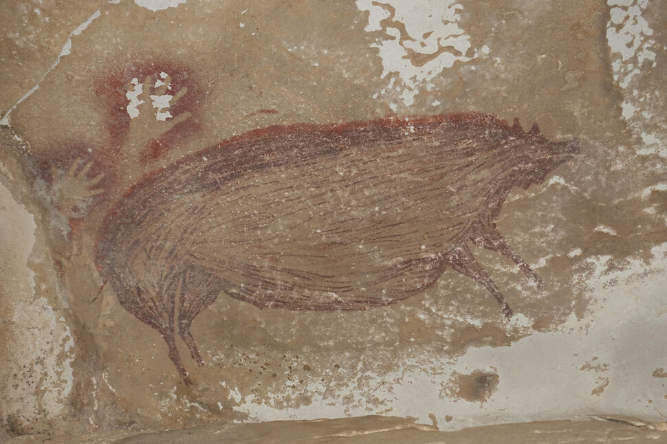 인도네시아 술라웨시섬 리앙 테동게 동굴에서 발견된 돼지 벽화는 현생인류가 그린 가장 오래된 그림으로 연대측정됐다. ‘사이언스 어드밴시스’ 제공