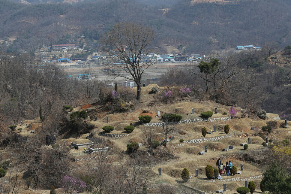 Tombs are habitats for small grasslands that are difficult to see.  Rare plants and native plants attract attention while standing around the tomb.  March 13, 2016 at Yongmi-ri City Park Cemetery, Guangdong-mayon, Paju-ci, Jeongji-do.  Paju / Senior Reporter Kim Bong-Gu bong9@hani.co.kr