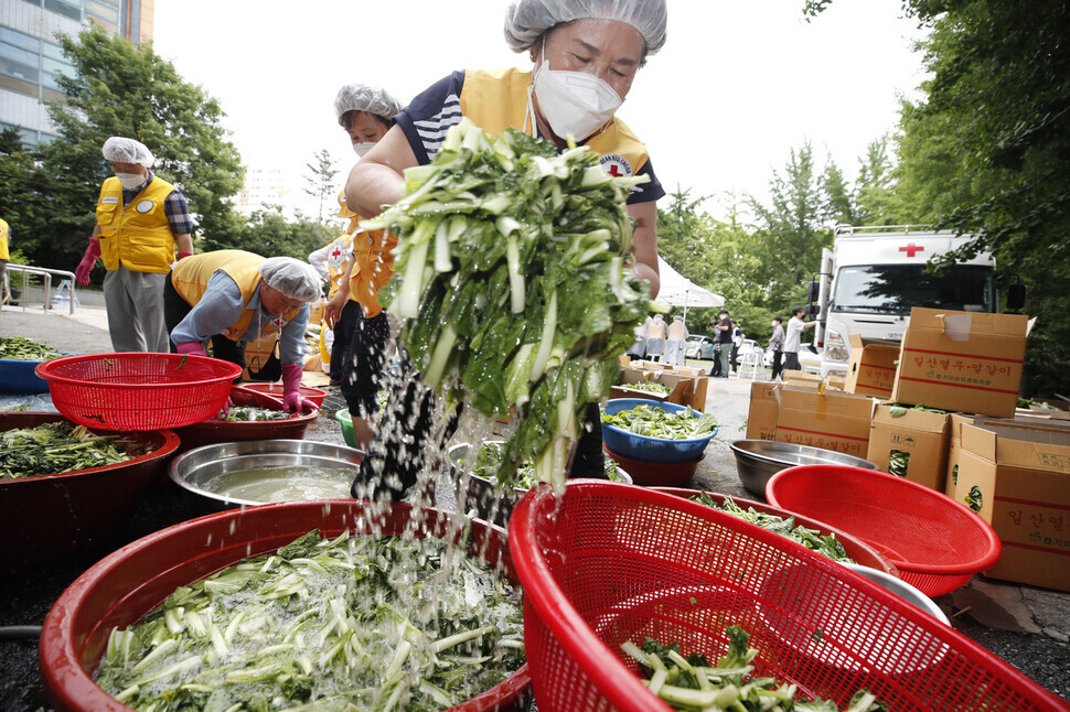 Red Cross volunteers soak young summer radishes in salted water on Thursday at the Korean Red Cross’ Nowon Ward in Seoul as they take part in a kimchi-making charity event. (Lee Jeong-a/The Hankyoreh)