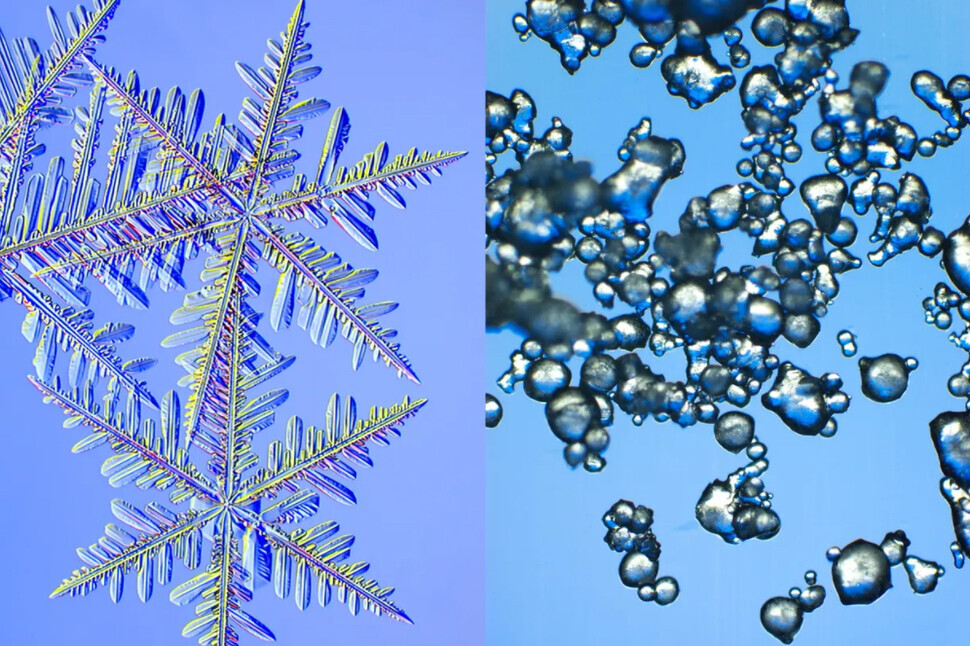 Natural snowflakes (left) and artificially made snow (right) as seen under a microscope. (courtesy of Caltech)