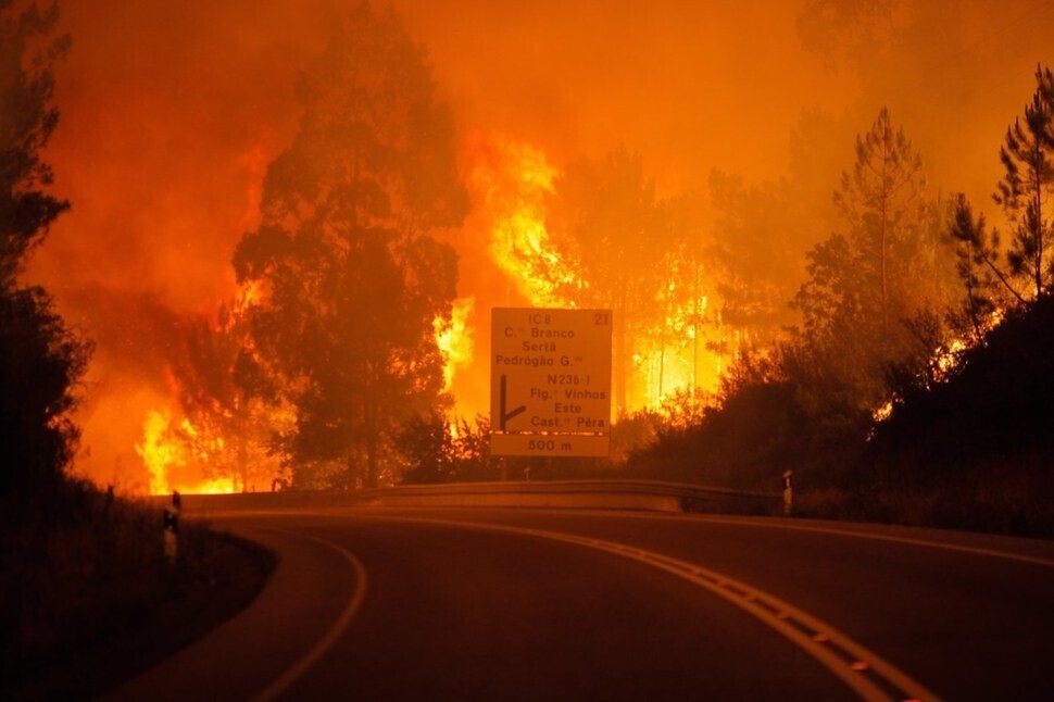 A wildfire blazes in Portugal’s central Pedrógão Grande region on June 17, 2017. (EPA/Yonhap)