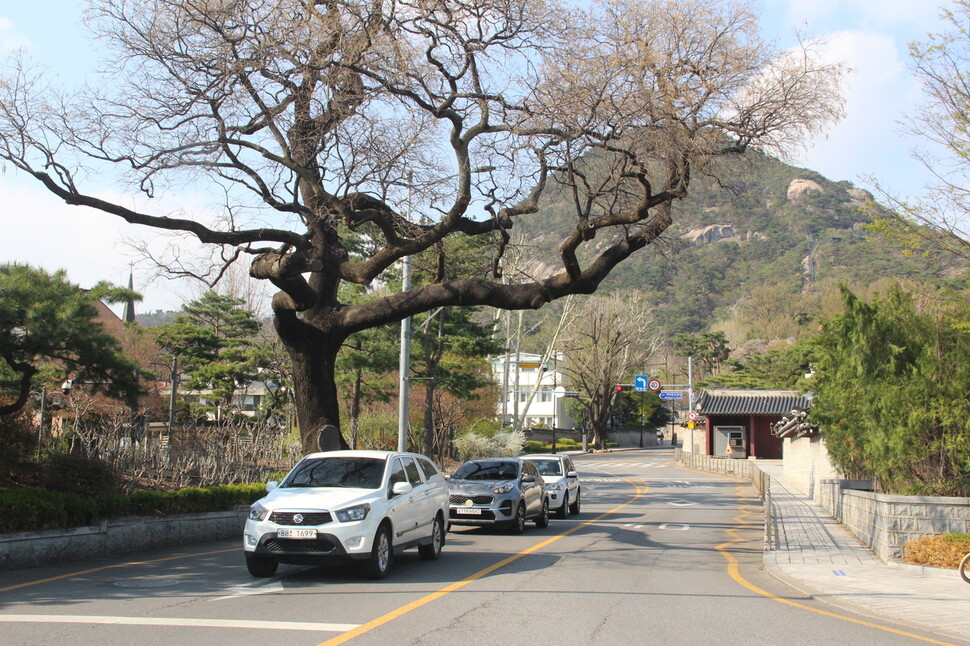 조선 중기에 서촌을 대표하는 사대부이자 문학인인 김상헌의 집은 육상궁(오른쪽 대문) 서쪽(큰 나무 뒤쪽)에 있었다. 김규원 선임기자