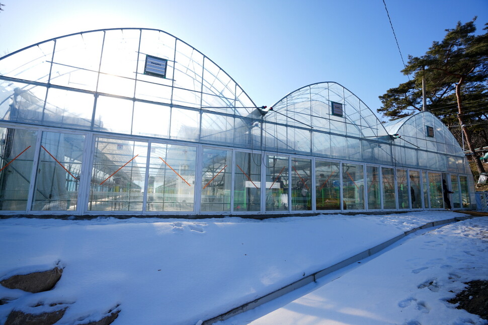 서울 강북구 우이동 북한산 등산로를 따라 걷다 보면 한적한 산자락에 비닐하우스 세 동이 나타난다. 쓰레기가 무단 투기되고 불법 경작으로 방치됐던 땅이 지나 1월 1592㎡(약 480평) 규모의 첨단 ‘강북 스마트팜 재배단지’로 재탄생했다. 강북구청 제공