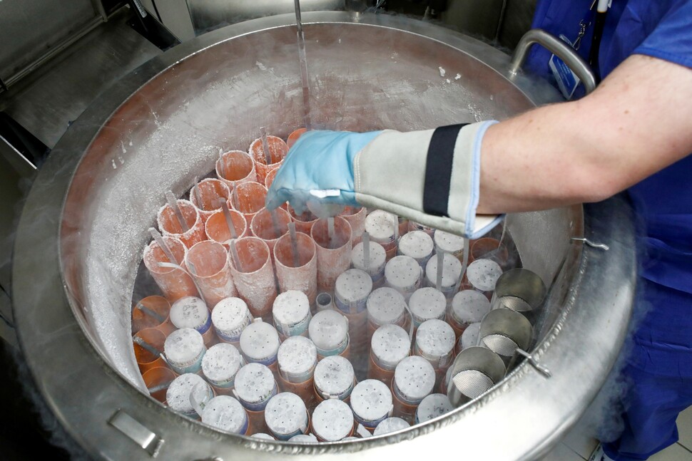 프랑스 파리 한 병원 실험실에서 의료 기술자가 배아 냉동 장치를 열고 실험을 준비하고 있다. 로이터 연합뉴스
