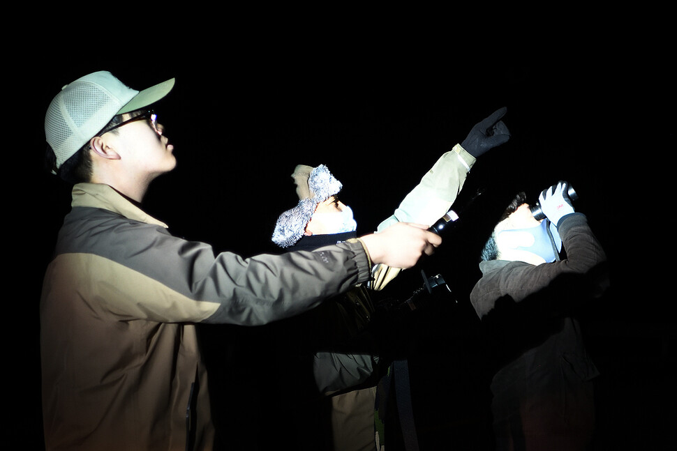 오대산 국립공원 사무소 직원들이 깃대종으로 지정한 긴점박이올빼미를 야간 조사하고 있다.