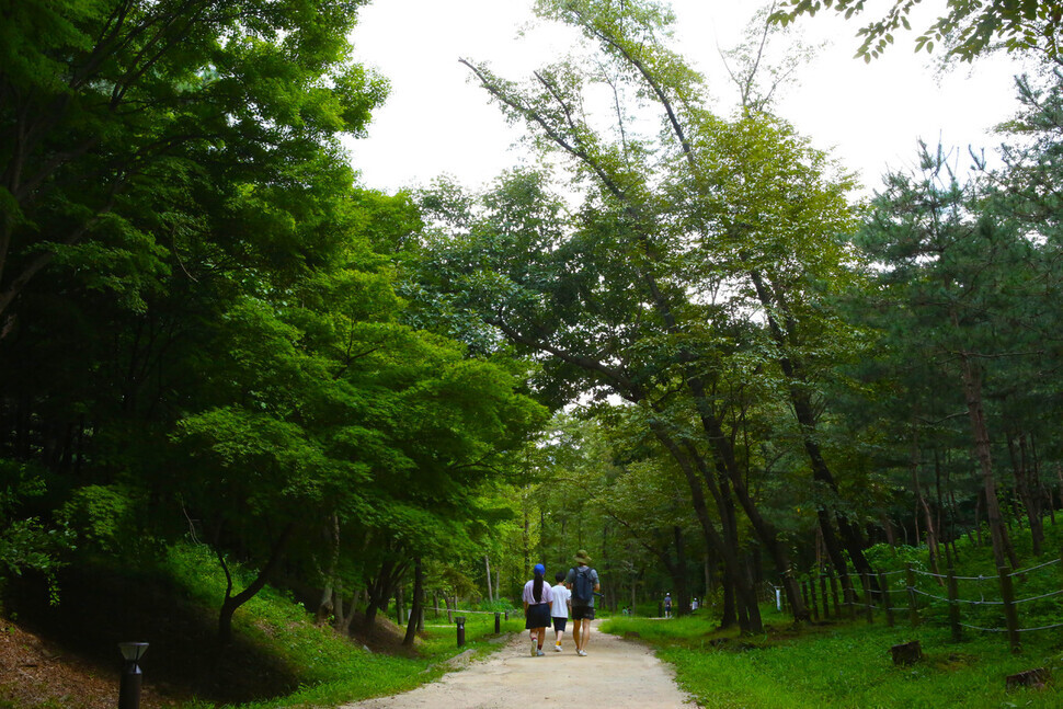 People stroll through Seonjeongneung (Her Yun-hee/The Hankyoreh)