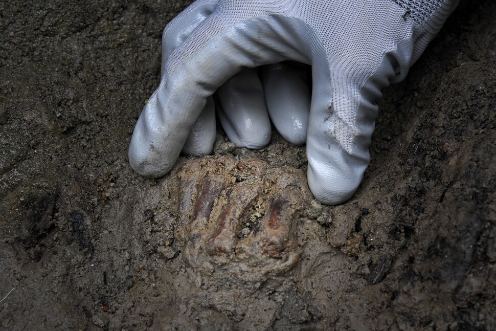 “용암 피해 바다로 달아나다가…” 2천년 된 고대 로마 유골 발견