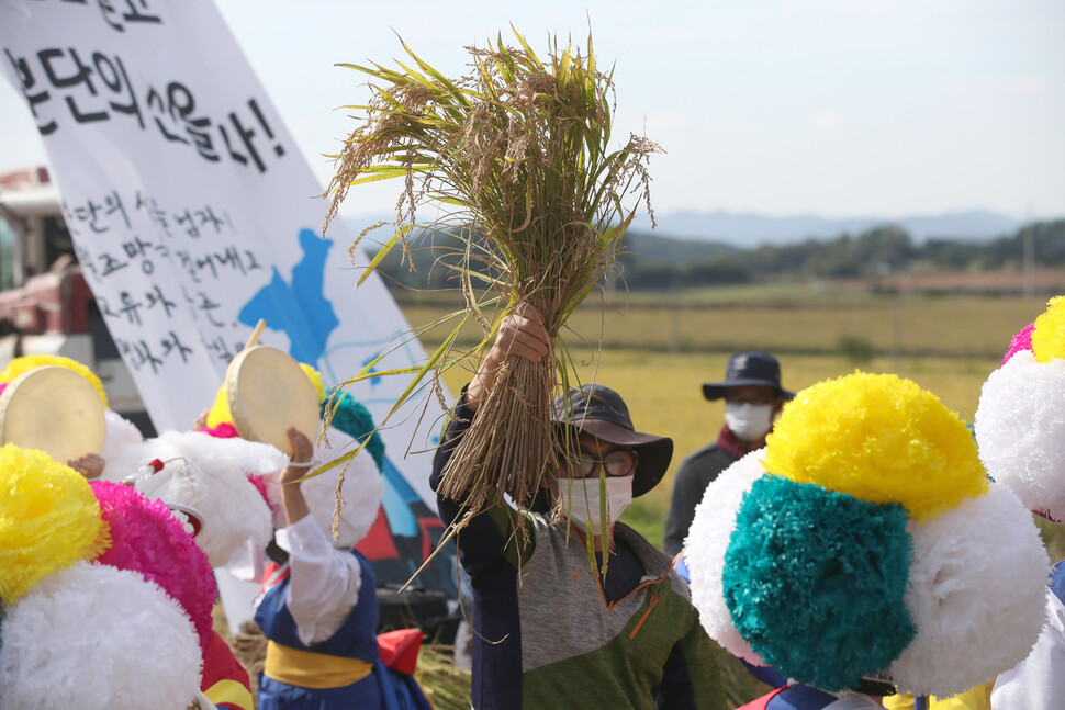 한 농민이 21일 오후 전남 영광군 통일쌀 경작지에서 볏단을 들어보이고 있다. 영광/박종식 기자