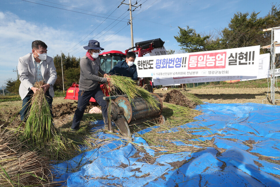농민과 행사 참가자들이 21일 오후 전남 영광군 통일쌀 경작지에서 벼를 탈곡하고 있다. 영광/박종식 기자