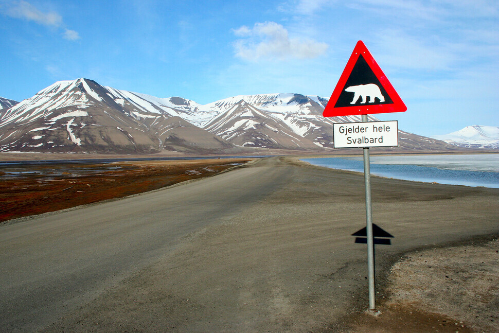 Norway’s Svalbard archipelago is the northernmost in Europe. Around 300 polar bears live on the archipelago. (provided by Wikimedia Commons)