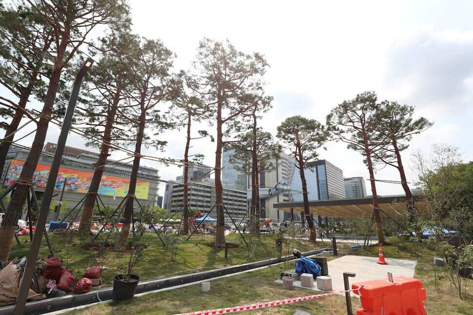 The renovated plaza includes pine trees from Gangneung.