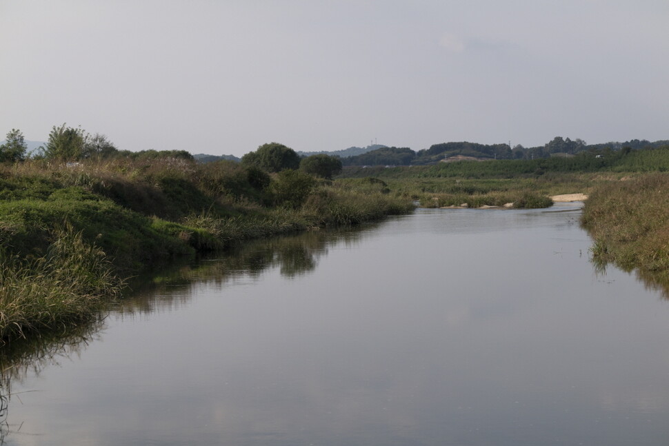 끄리가 사는 장양천의 모습. 끄리는 유량이 많고 잔잔한 강의 중·하류나 댐, 대형 저수지에 주로 분포한다.