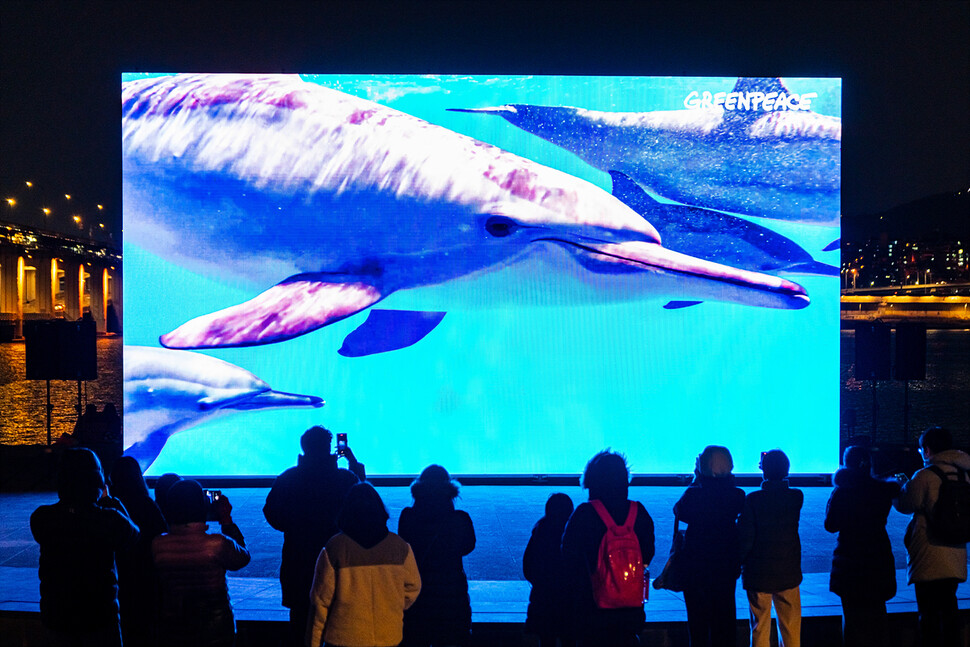 국제환경단체 그린피스가 유엔(UN) 해양생물다양성보전(BBNJ) 협약 5차 비상회의를 앞둔 15일 밤 서울 반포 한강공원에서 대형 스크린에 글로벌 해양조약 체별을 촉구하는 영상을 상영했다. 그린피스 제공