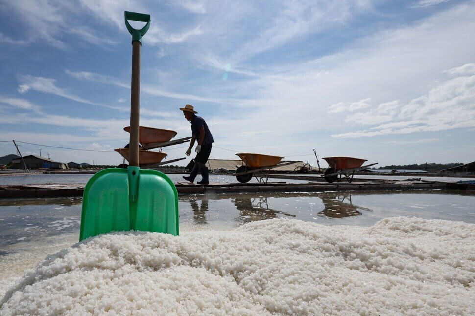 A salt farmer collects salt from the flats in Gyeonggi Province’s Hwaseong on Aug. 21. (Yonhap)
