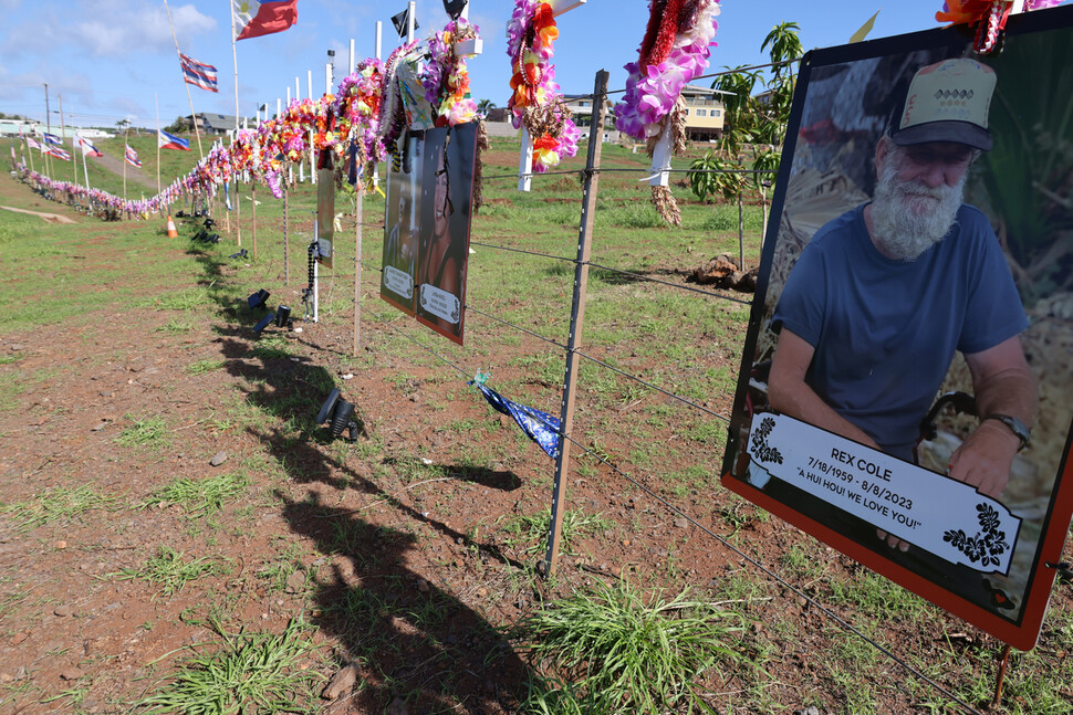 2024년 2월5일 미국 하와이주 마우이섬 라하이나의 바이패스 고속도로에 산불로 목숨을 잃은 희생자들을 추모하는 사진과 십자가가 걸려 있다.
