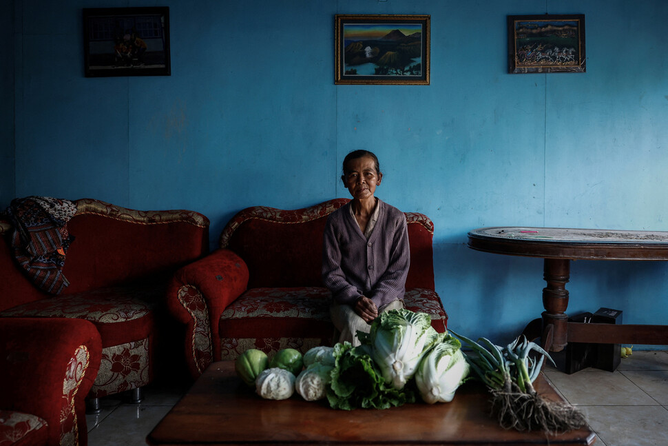 64살의 텡게르 농부 아시가 자신의 땅에서 수확한 채소를 보이고 있다. 이 채소는 공물로 바칠 것이다.