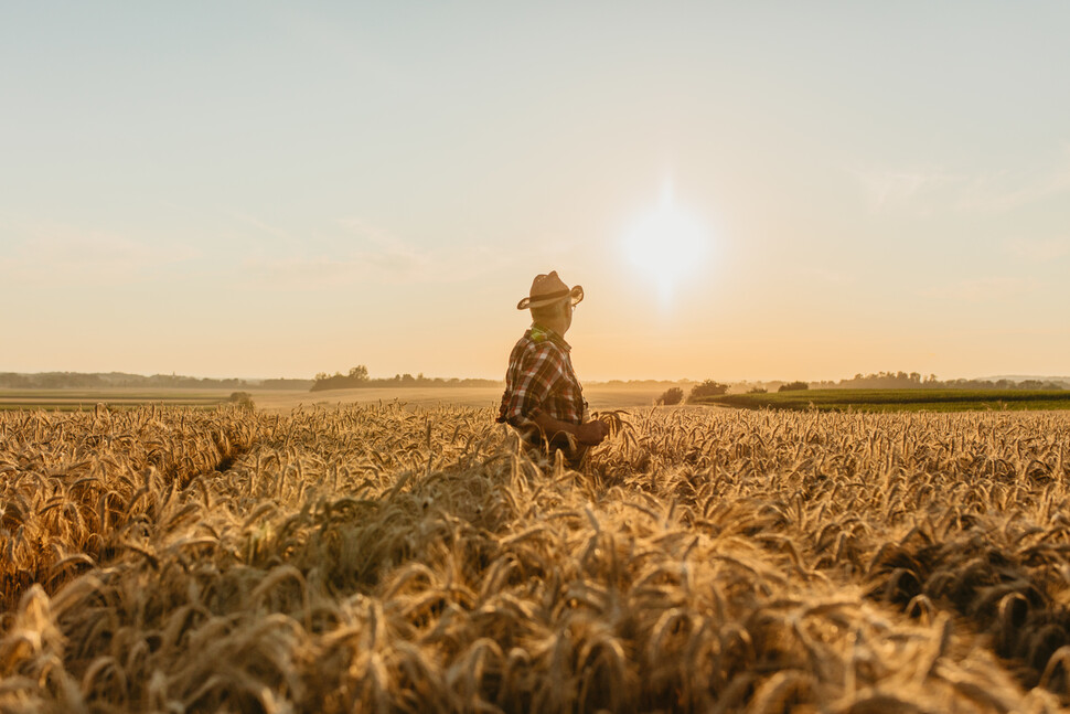게티이미지뱅크코리아