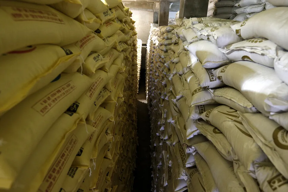 [Photo] Domestic rice price plummets as imports increase